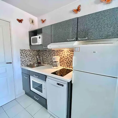 Aquarine Piscine Acces Plage * Saint-Raphael (Var)