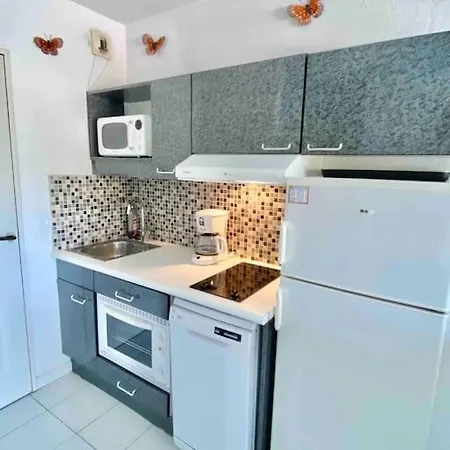 Aquarine Piscine Acces Plage *